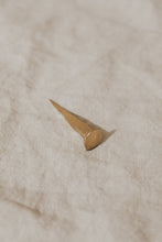 Load image into Gallery viewer, Iron Nails